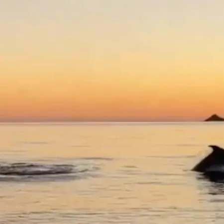 T2 D'exception 100m Terrasse Vue Et Montagnes Apartment *