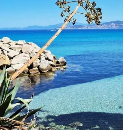 T2 D'exception 100m Terrasse Vue Et Montagnes Propriano (Corsica)