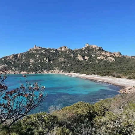 T2 D'exception 100m Terrasse Vue Et Montagnes Propriano (Corsica)