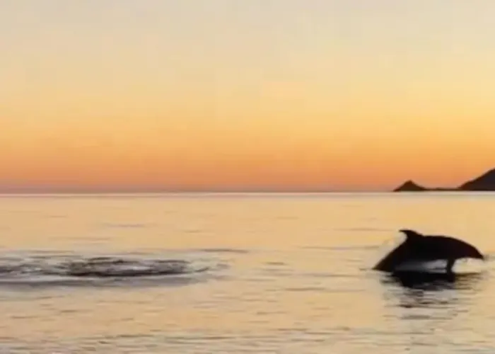 T2 D'exception 100m Terrasse Vue Et Montagnes Appartement *