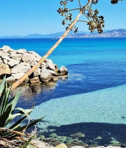 T2 D'exception 100m Terrasse Vue Et Montagnes Propriano (Corsica)