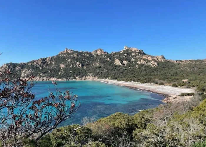 T2 D'exception 100m Terrasse Vue Et Montagnes Propriano (Corsica)