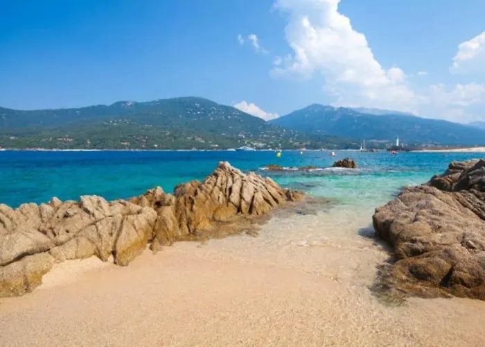 T2 D'exception 100m Terrasse Vue Et Montagnes *